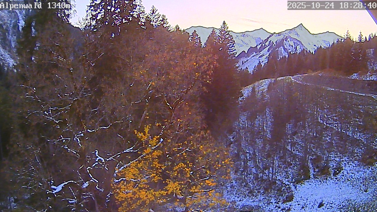 webcam.bild: Gasthof Alpenwald